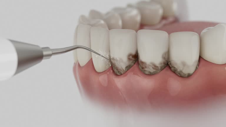 Reliable Dental contractor in Rancho Alegre, TX by Dentist Open Now